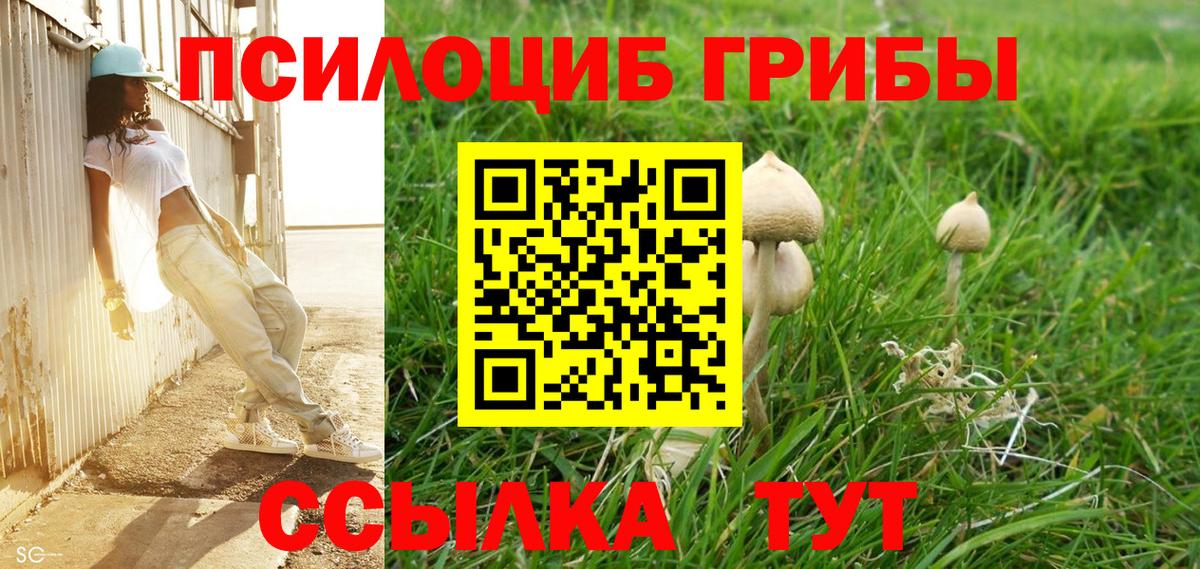Магадан  Галлюциногенные грибы Psilocybe  Вход с VPN  Псилоцибиновые грибы прущие грибы 